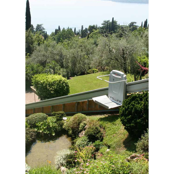 AccessBDD Supra Linea Platform Lift